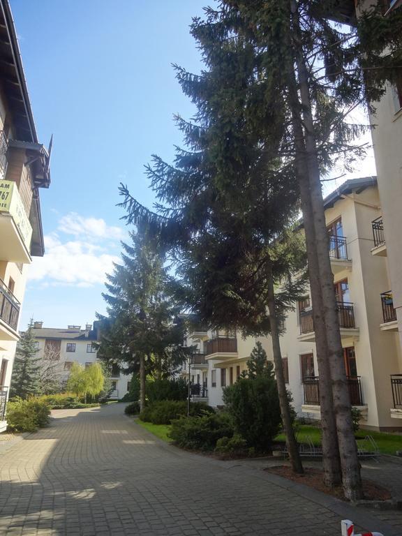 Apartament typu studio