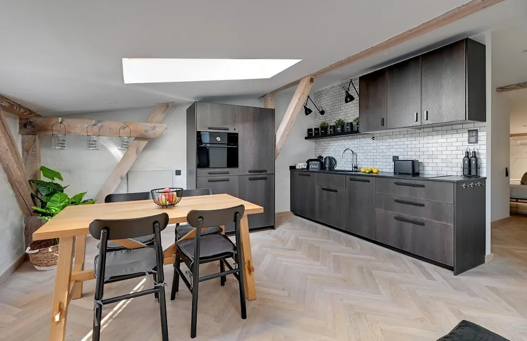 Modern Attic - Cozy Top Floor By Lion Apartments Sopot-1