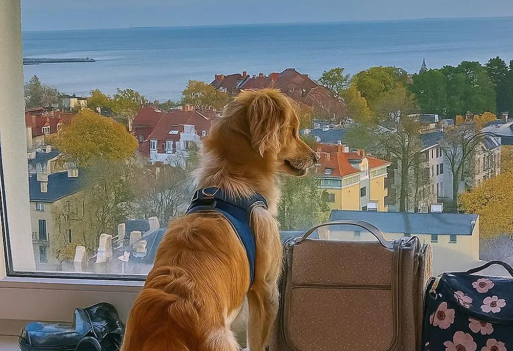 Pokoje przy plaży z widokiem na morze-1