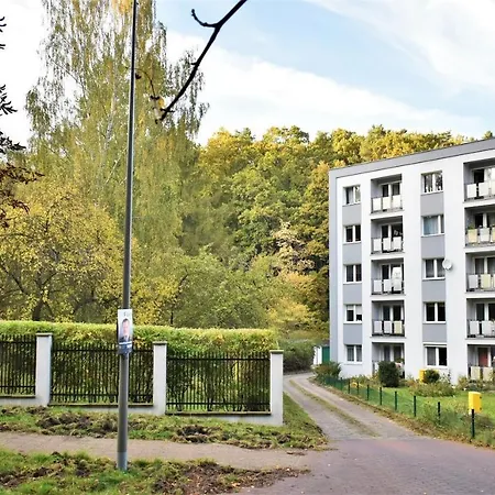 Basesopot-3