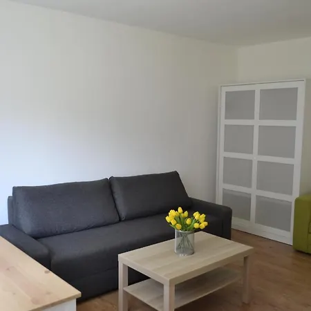 Kameralne Studio Vigo-3