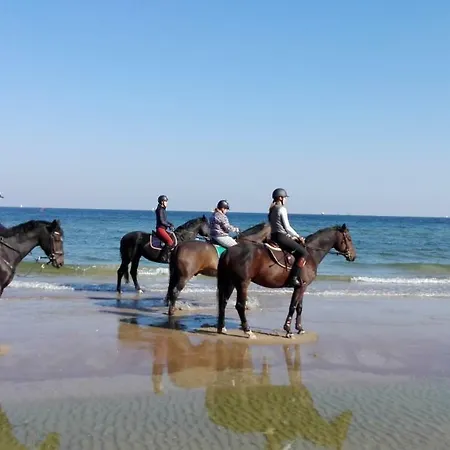 Przy plaży-3