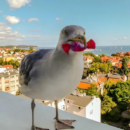 Pokoje przy plaży z widokiem na morze-3