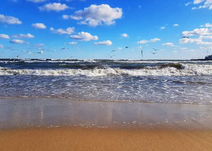 Blue&Cosy Plaża Sopot