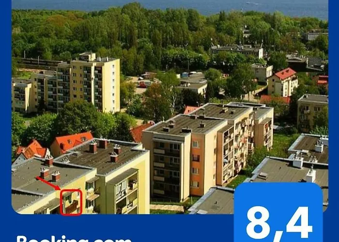 Miedzy Lasem A Morzem Sopot