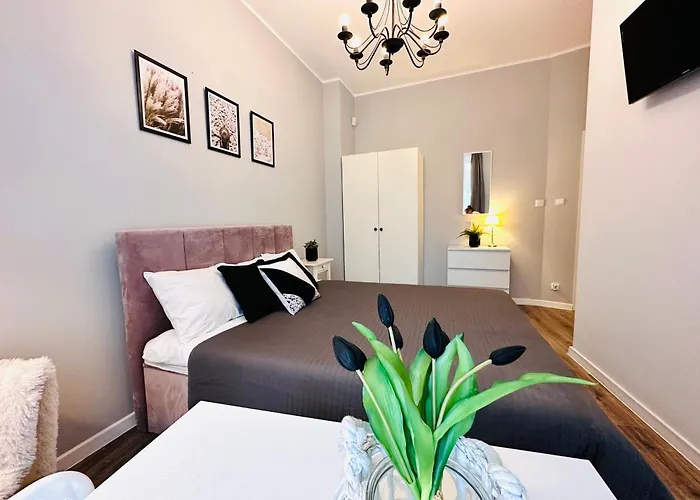 Studio przy molo w Sopocie Sopot