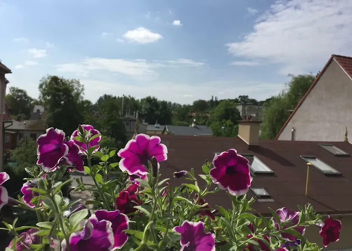 Apartament Chopina Loft Sopot
