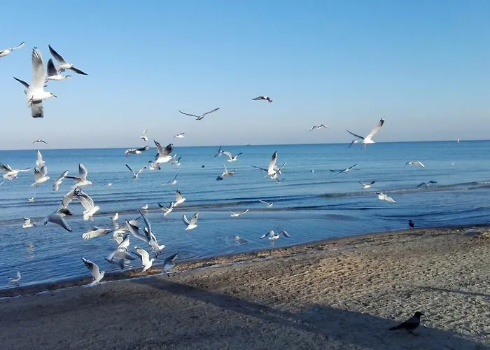 Apartament Przy plaży Sopot