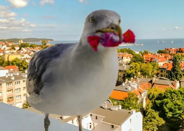 Pokoje przy plaży z widokiem na morze Sopot